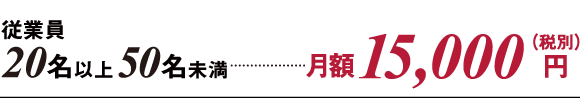 従業員20名以上50名未満 月額15,000円（税別）
