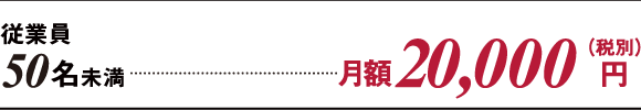 従業員50名以上 月額20,000円（税別）
