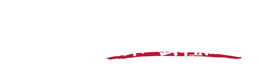 専門家と実業家を兼ねる城谷のノウハウで強い会社に！