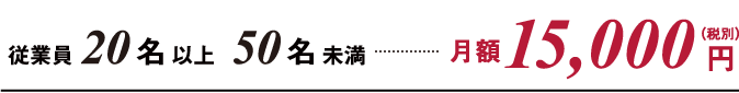 従業員20名以上50名未満 月額15,000円（税別）