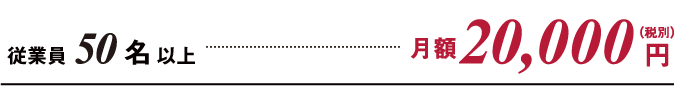 従業員50名以上 月額20,000円（税別）